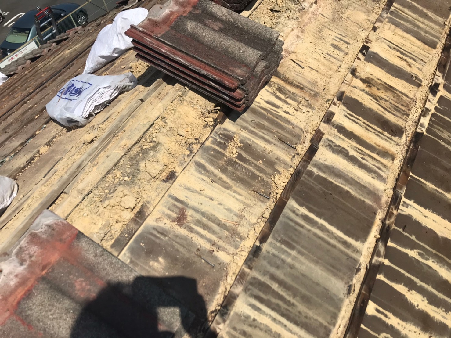 リッジウェイアーストシーダー